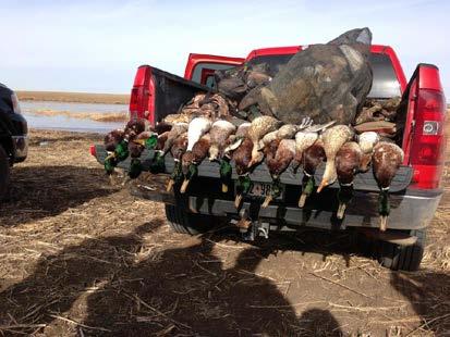 Duck/Crane/Goose Hunt in the Texas Panhandle 4 hunters for 2 days, hunting one of the great waterfowling secrets of North America!