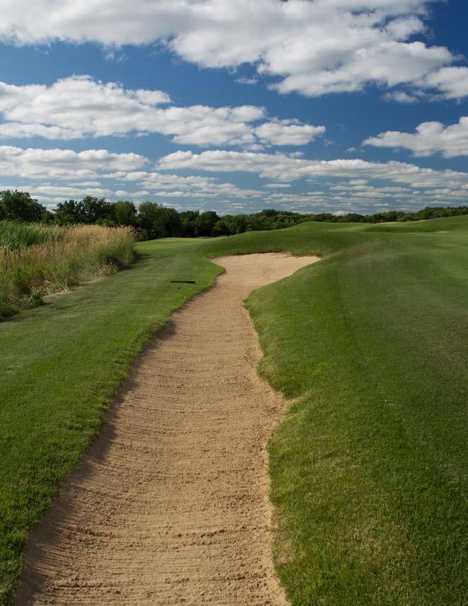 print ON COURSE MAGAZINE on 12/2016 THE MIDWEST ASSOCIATION OF GOLF COURSE SUPERINTENDENTS COURSE CHICAGOLAND HISTORY LOOKING AT RESEARCH SWEET SORROW Taking a Ride on the Bunker Bandwagon Since 1948