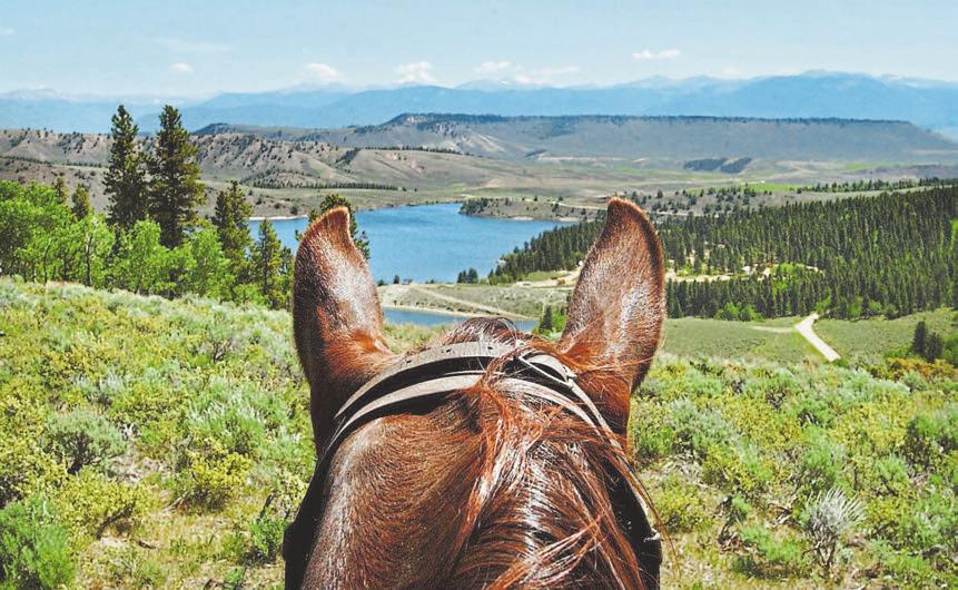 16 THE DENVER POST SUMMER GETAWAYS 2018 Saddle up at these guest ranches around the state By Kim Fuller Special to The Denver Post About an hour from C Lazy U Ranch, we turned on the country music.