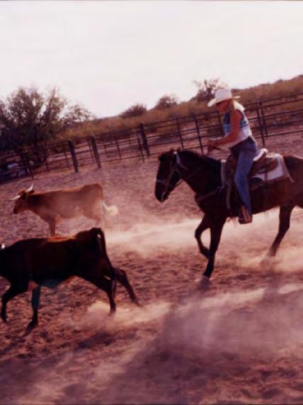 At White Stallion Ranch,