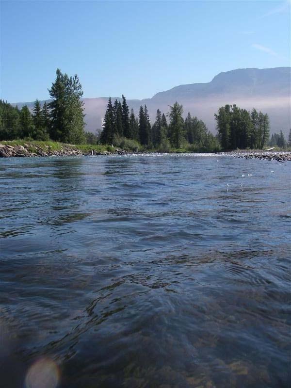 FISH POPULATION AND RIVERINE HABITAT INVENTORY OF THE ELK RIVER, SPARWOOD, BRITISH COLUMBIA Submitted to: UMA