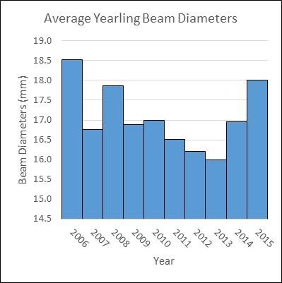Figure 4 DMU 072 Beam Diameter Measurements for 1-year old Antlered Deer Beam diameters in DMU 072 have had little fluctuation over the last ten years ranging between 16 and 18.