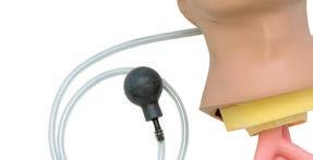 ) Figure 2 Note: Nasco recommends the use of the provided lubricant or a similar vegetable-based lubricant for the Airway Management Trainer head.