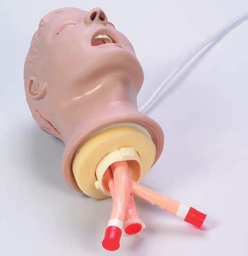 Figure 6 Cleaning and Maintenance To clean the Airway Management Trainer head, you will first need to remove the head from the manikin.