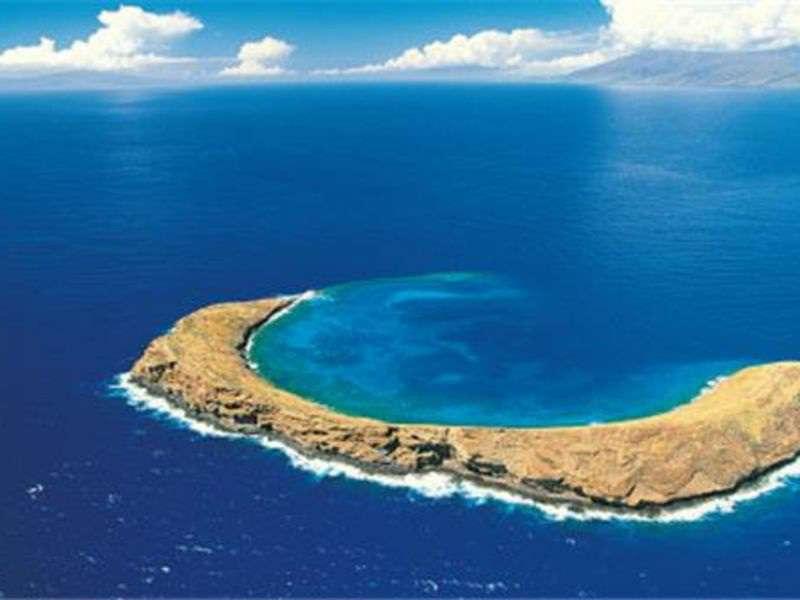 Page 17 of 27 DAY 8 7:00 AM 5 hr Molokini & Turtle Arches Snorkeling Snorkel the world-famous dive site of Molokini crater before heading to Turtle Arches, known for its large population of resident