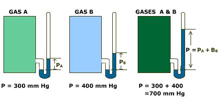 50 Chem Mole Fraction 30 Bio 20 Phys Total Pressure (mm