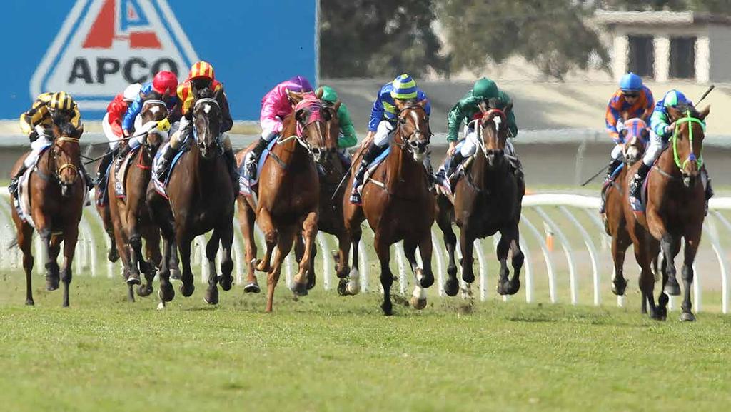 Current Tracks Maintained Sustainable Racing Models for Clubs RV and CRV are committed to continuing racing at each of the 62 country tracks located across Victoria.