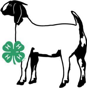 Class A0513 Market Wether Goat (born on or after October 1 of current 4-H year) The weight breakdown for this class will be determined by the Livestock Committee following final weigh-in on Friday