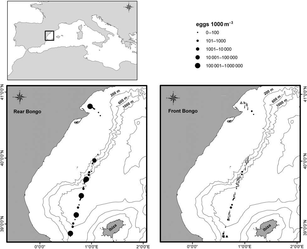 locations. Figure 2. Percentage of samples from the front and rear bongos clogged with jellyfish larvae by period. The estimated T.