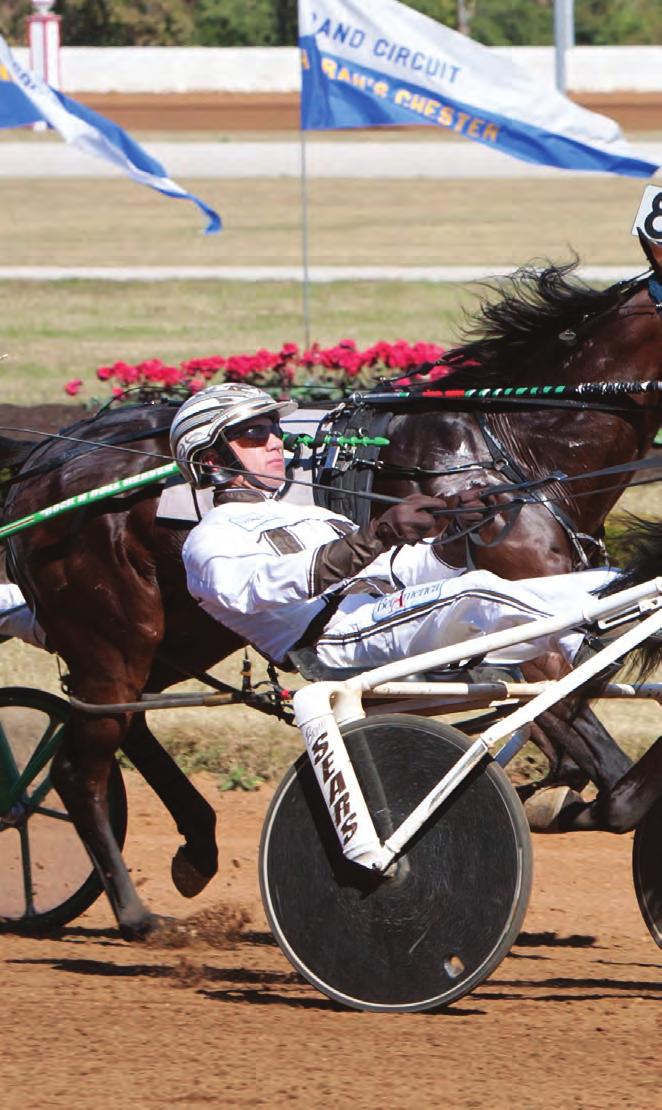 No Fool in This Geldin FEEL LIKE A FOOL was far from foolproof this past racing season but thanks to the patience of George Teague and his staff the rookie pacing colt overcame his quirks and stamped