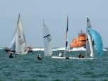 of boat/races sailed Sht 1/5 289 311 327 299 397 No. of boat/races sailed Sht 2/5 258 299 215 271 367 No. of boat/races sailed Sht 3/5 291 333 281 256 512 No.
