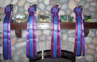 COMBINED DRIVING Awards! from Judy Cates and Merridy Hance Your horse is special, and she thinks she deserves special recognition!