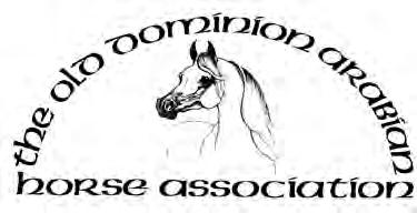 Arabian Horse Association United States Dressage Federation United States Equestrian Federation N rated: Arabian Division Arabian Junior Division HA/AA Division HA/AA Junior Division Region 12