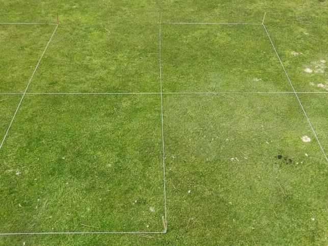 Fig. 5. Snow mold fungicide treatments on a fairway at Chewelah Golf and Country Club in Chewelah, WA. Rated 21 Mar 2016.