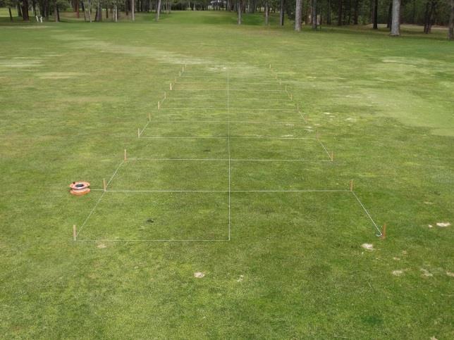 Fig. 7. Snow mold fungicide treatments (Rep 1) on a fairway at Chewelah Golf and Country Club in Chewelah, WA. Rated 21 Mar 2016.