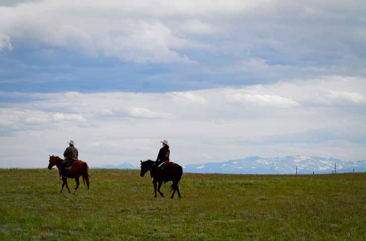 Recreation: There are abundant recreational opportunities on the ranch and adjacent public lands, including horseback riding, mountain biking, fishing, hunting, bird watching, wildlife viewing,