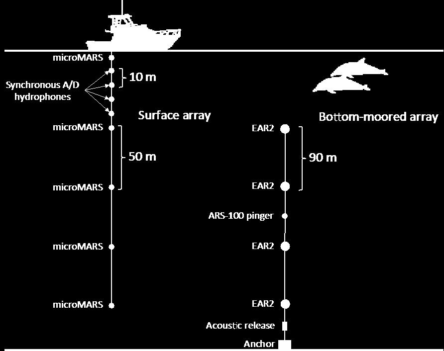 Figure 1 - Schematic of the surface array and bottom-moored array that will