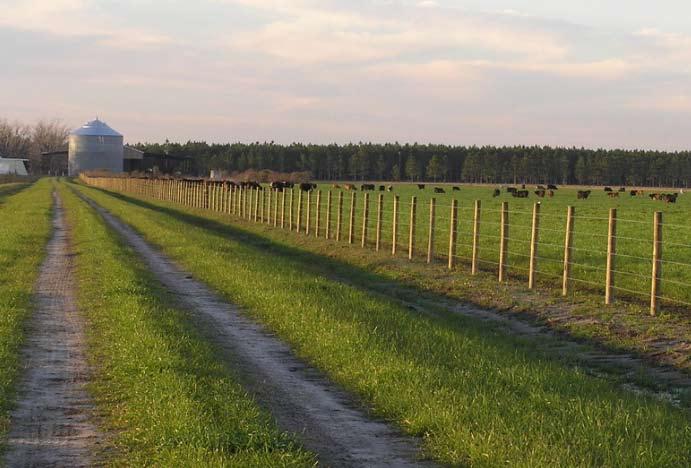 central florida ranching & WILDLIFE TOTAL ACREAGE: Enjoy the beauty of natural Florida on your own 1,920± acres private