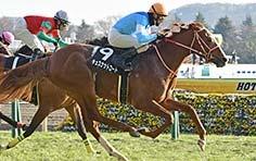 Chestnut Coat (JPN, C4, by Heart s Cry), who is set to challenge for the title on November 6.