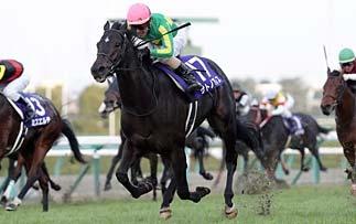 2,000m) on October 28 and the Japan Cup (G1, 2,400m) on November 25.