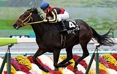 fourth from five starts, but he will have to adapt to racing Satono Ares in the 2016 Asahi Hai Futurity Stakes straight wire to wire on the