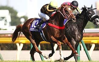 Nevertheless, his trainer Kazuo Fujisawa claimed the same race with Taiki Shuttle (USA, by Devil s Bag) 20 years ago, so he is well aware of what