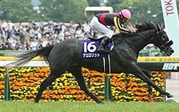 The Destination France also offers opportunities for three-year-old fillies by automatically qualifying the Yushun Himba s top three finishers