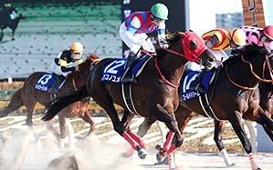 Mikki Rocket (JPN, H5, by King Kamehameha), who won the Takarazuka Kinen to earn an automatic berth in the Breeders Cup Turf (G1, 2,400m) on November 3, will also stay in Japan for his fall campaign,