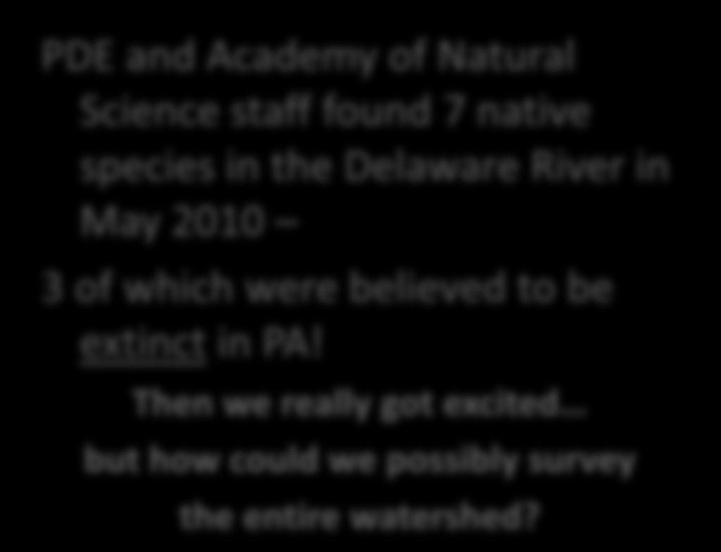 PDE and Academy of Natural Science staff found 7 native