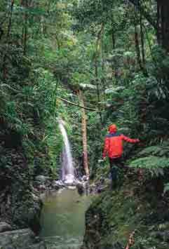 Take time out from the buzz and excitement of the main event and journey inland to discover aweinspiring waterfalls, subtropical rainforests and freshwater lakes.