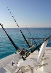 Fishing Trips Around here the waters abound with magnificent game fish such as Sailfish,