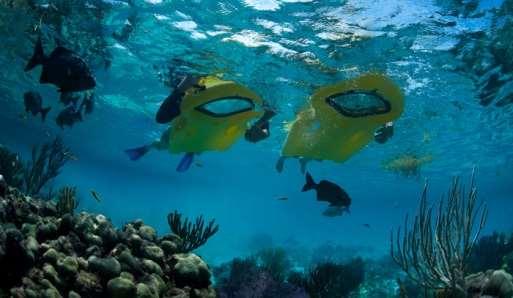 Snorkel Trip with Zayak (extra) 50 Add it to any of our