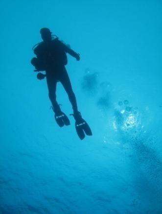 S C U B A DIVING All diving and course prices include boat fees; in addition Beginner Courses include all Equipment.