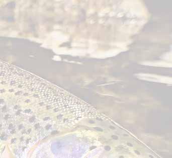 For more information about the South Coast Cutthroat Chapter you can check us out on Facebook by going to the South Coast Cutthroat, Trout Unlimited Chapter 930 page or email Gary Vonderohe at