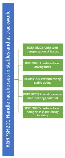 Racehorses Many s of competency addressing the practical activities of handling, driving or riding racehorses within the performance services horse (PSH) sector of the RGR Racing and Breeding
