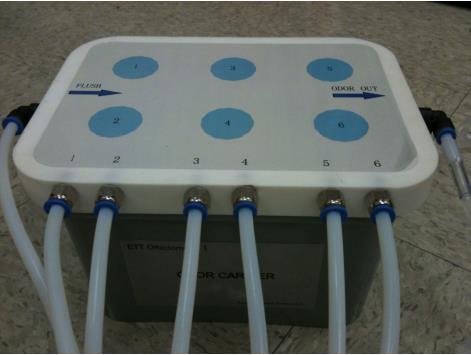 Figure 4 - The MRI compatible odorant carrier, which mixes the clean flush channel with the odorant currently active in the paradigm in close proximity to the subject.