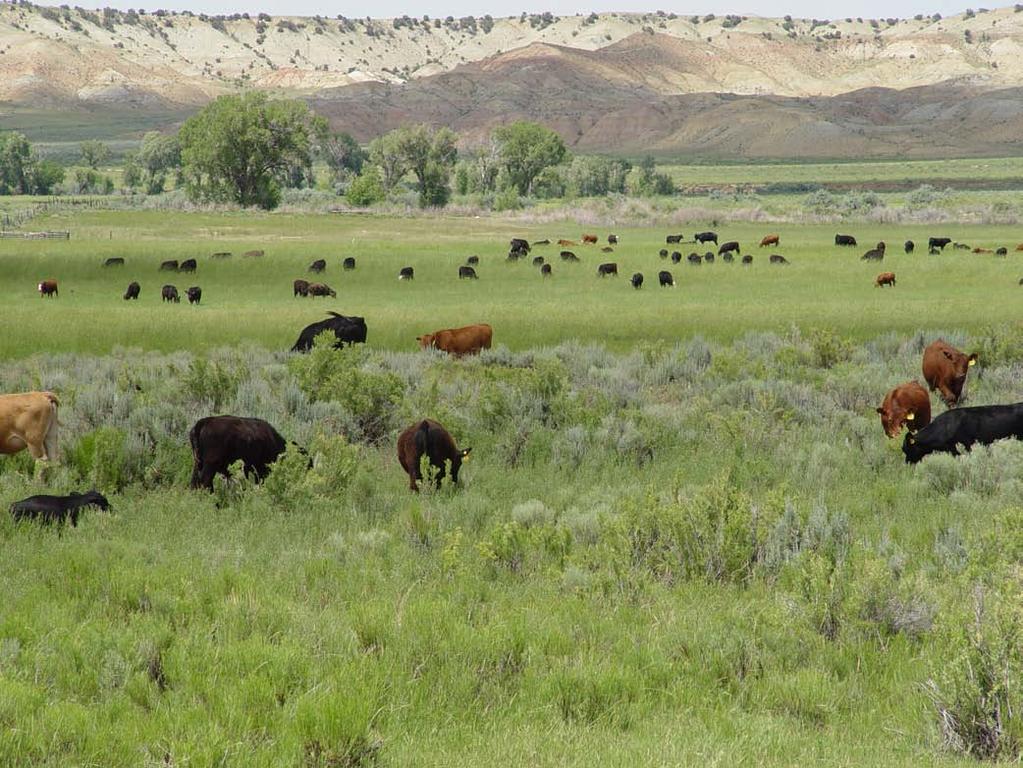 G E N E R A L D E S C R I P T I O N The Rockin J Ranch is a working cattle ranch with 7,240+/- deeded acres and associated Bureau of Land Management and Colorado State leases.