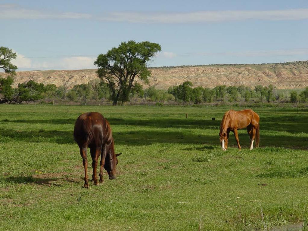 The Rockin J has two sets of improvements located on the ranch, each with a home and cattle working facilities.