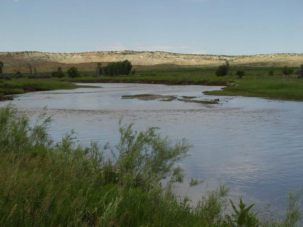 The area is a premier hunting area for elk, deer and antelope, and the ranch is no exception.