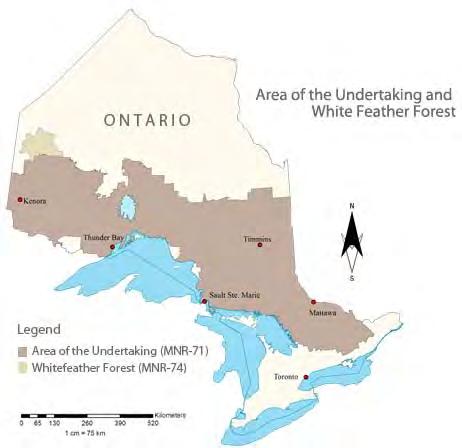 Forestry and Moose Habitat Management Crown land licensed for forestry (Area of the Undertaking) and moose