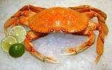 Tropicals In Oregon Dramatic changes to food webs Biological response to warm oceans Species range extensions from CA to AK 2016 Red pelagic crabs in Oregon!