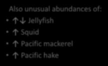 10 0.05 Jack mackerel Age 1-2 fish = Salmon competitors 0.