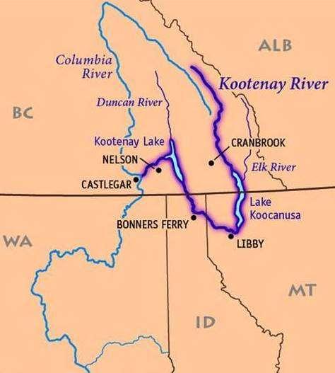 Burbot in Idaho: The Lower Kootenai River Population imperiled IDFG estimate: < 100 adult burbot