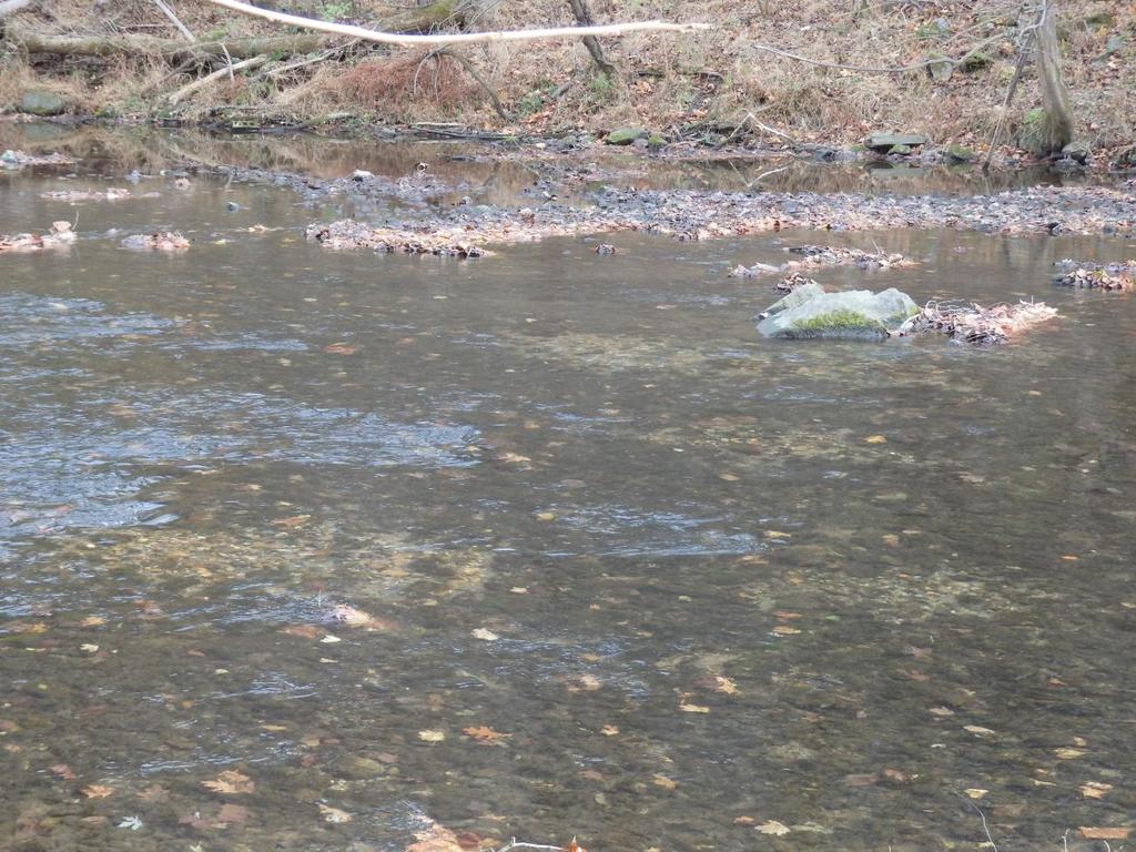 Meadow pool in section 2 Recommendations: Continue annual trout redd surveys for these control sections, adding additional sections if possible to identify additional significant spawning sites.