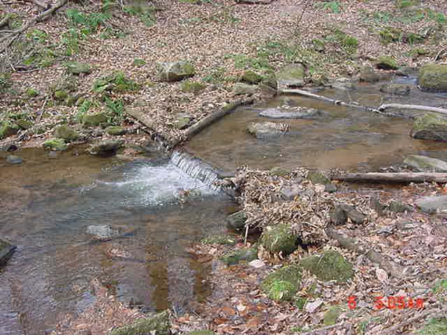 Such man-made devices can provide much needed instream habitat for Segloch Run, but they do need to be design and installed by someone familiar