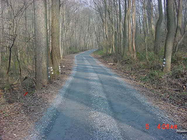 Photos #77 and #78 A portion of Seglock Road with adequate buffer