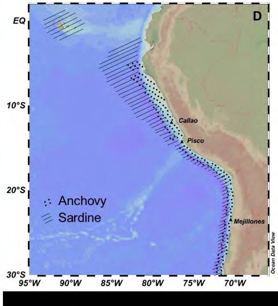 The sampling of the cores was congruent with the spatial range of anchovy and