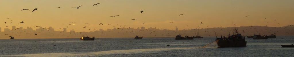 Pacific Herring Fishery Management Primary spawning and fishing areas: San Francisco, Tomales, and Humboldt Bays, & Crescent City Harbor DFG has