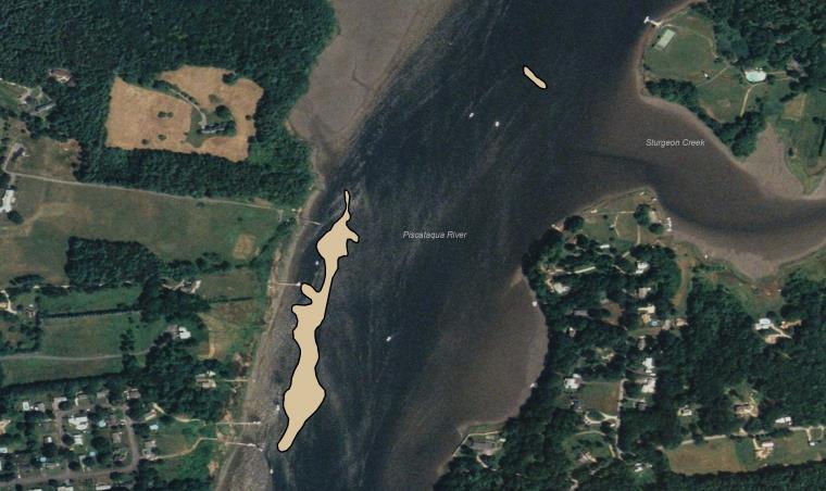 The final restoration site mapped in 2013 was at Little Bay/Fox Point, which was constructed in 2010 (Fig. 14).