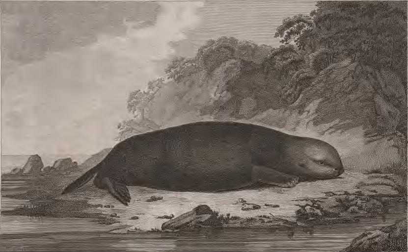 Alaska and the sea otter resource 1741